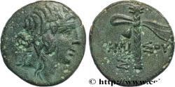 Ancient Coins - PONTUS - AMISOS Amisos, Pont c. 105-90 AC. (17mm, 3,82g, 12h)