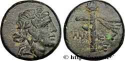 Ancient Coins - PONTUS - AMISOS Amisos, Pont c. 105-85 AC. (17mm, 5,09g, 12h)