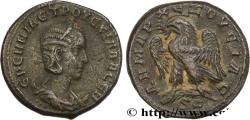 Ancient Coins - HERENNIA ETRUSCILLA Antioche, Syrie, Séleucie et Piérie 249 (24,5mm, 11,76g, 12h)