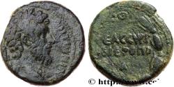 Ancient Coins - MARCUS AURELIUS Hiérapolis, Syrie, Cyrrhestica c. 161-180 (22mm, 10,87g, 12h)