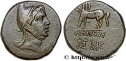 Ancient Coins - PONTUS - AMISOS Amisos, Pont c. 105-90 ou 90-85 AC. (21mm, 12,81g, 12h)