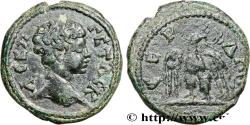 Ancient Coins - GETA Serdica, Thrace c. 209-211 (19mm, 4,93g, 1h)
