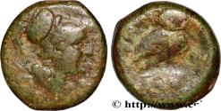Ancient Coins - APULIA - TEATE Teate, Apulie c. 225-200 AC. (23mm, 14,28g, 1h)