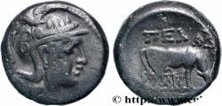 Ancient Coins - MACEDONIA - MACEDONIAN PROVINCE - PELLA Pella, Macédoine c. 168-149 AC. (18mm, 8,59g, 11h)