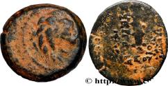Ancient Coins - SYRIA - SELEUKID KINGDOM - ANTIOCHUS VII SIDETES Antioche, Syrie 136-135 AC. (15,5mm, 3,11g, 10h)