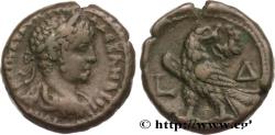 Ancient Coins - SEVERUS ALEXANDER  Alexandrie, Égypte 224-225 (24mm, 12,91g, 12h)