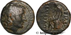 Ancient Coins - SYRIA - SELEUKID KINGDOM - ANTIOCHUS III THE GREAT Antioche, Syrie c. 223-187 AC. (14mm, 2,77g, 1h)