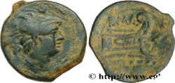 Ancient Coins - ROMAN REPUBLIC - ANONYMOUS Rome ou Italie c. 211-206 AC. (19mm, 3,40g, 11h)
