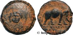 Ancient Coins - SYRIA - SELEUKID KINGDOM - ANTIOCHUS III THE GREAT Atelier incertain, Syrie c. 223-187 AC. (18mm, 4,42g, 6h)