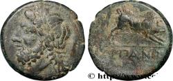 Ancient Coins - APULIA - ARPI Arpi, Apulie   c. 325-275 AC. (20mm, 6,71g, 12h)