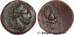 Ancient Coins - SYRIA - SELEUKID KINGDOM - TRYPHON Antioche, Syrie c. 140 AC. (18mm, 4,92g, 12h)