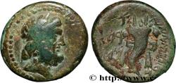 Ancient Coins - PHOENICIA - MARATHOS Marathos, Phénicie c. 118-117 AC. (20mm, 6,23g, 12h)