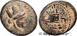 Ancient Coins - SYRIA - SELEUCIA and PIERIA - ANTIOCHIA Antioche, Syrie, Séleucie et Piérie 77-78 (18,5mm, 5,78g, 12h)