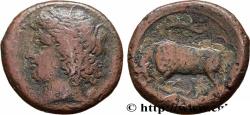 Ancient Coins - SICILY - SYRACUSE Syracuse, Sicile c. 317-310 AC. (21mm, 8,88g, 1h)