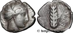 Ancient Coins - LUCANIA - METAPONTUM Métaponte, classe A c. 400-350 AC. (20,5mm, 7,53g, 12h)