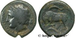 Ancient Coins - SICILY - SYRACUSE Syracuse, Sicile c. 317-310 AC. (23mm, 10,29g, 12h)