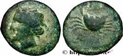 Ancient Coins - BRUTTIUM - TERINA Térina, Bruttium c. 350-275 AC. (16mm, 2,88g, 12h)