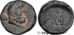 Ancient Coins - PISIDIA - SELGE Selgé c. 200-100 AC. (12,5mm, 3,22g, 12h)