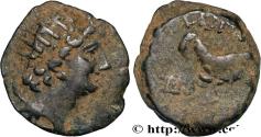 Ancient Coins - SYRIA - SELEUKID KINGDOM - ANTIOCHUS VIII GRYPUS Antioche, Syrie c. 121/120 - 111/110 AC. (19,5mm, 5,45g, 11h)