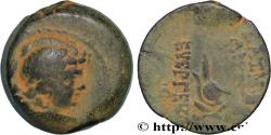 Ancient Coins - SYRIA - SELEUKID KINGDOM - ANTIOCHUS VII SIDETES Antioche, Syrie 138-127 AC. (18mm, 5,30g, 12h)