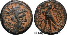 Ancient Coins - SYRIA - SELEUKID KINGDOM - ANTIOCHUS VIII GRYPUS Antioche, Syrie c. 121/120 - 111/110 AC. (18,5mm, 5,71g, 12h)