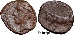 Ancient Coins - SICILY - PANORMOS Panorme, Sicile c.  400-380 AC. (10mm, 0,76g, 11h)