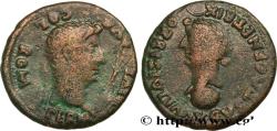Ancient Coins - DIVINE AUGUSTUS and LIVIA  Romula, Hispalis, (Séville), Espagne, Bétique 20-29 (33,5mm, 22,58g, 7h)