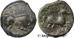 Ancient Coins - APULIA - ARPI Arpi, Apulie c. 275-250 AC. (19,5mm, 6,46g, 11h)
