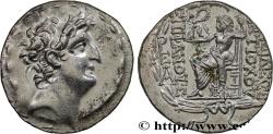 Ancient Coins - SYRIA - SELEUKID KINGDOM - ANTIOCHUS VIII GRYPUS Antioche, Syrie c. 108-96 AC (29,5mm, 15,74g, 1h)