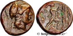 Ancient Coins - MACEDONIA - MACEDONIAN KINGDOM - ANTIGONUS GONATAS Macédoine, Amphipolis c. 250 AC. (18,5mm, 7,48g, 9h)