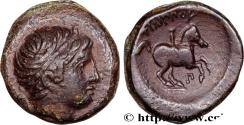 Ancient Coins - MACEDONIA - MACEDONIAN KINGDOM - PHILIP II Amphipolis,Macédoine c. 349-336 AC. (19mm, 7,00g, 5h)