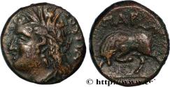 Ancient Coins - LUCANIA - THOURIOI Lucanie, Thurium c. 225-200 AC. (17mm, 4,54g, 9h)