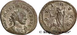 Ancient Coins - MAXIMIANUS HERCULIUS Lyon 290-291 (22mm, ,82g, 6h)