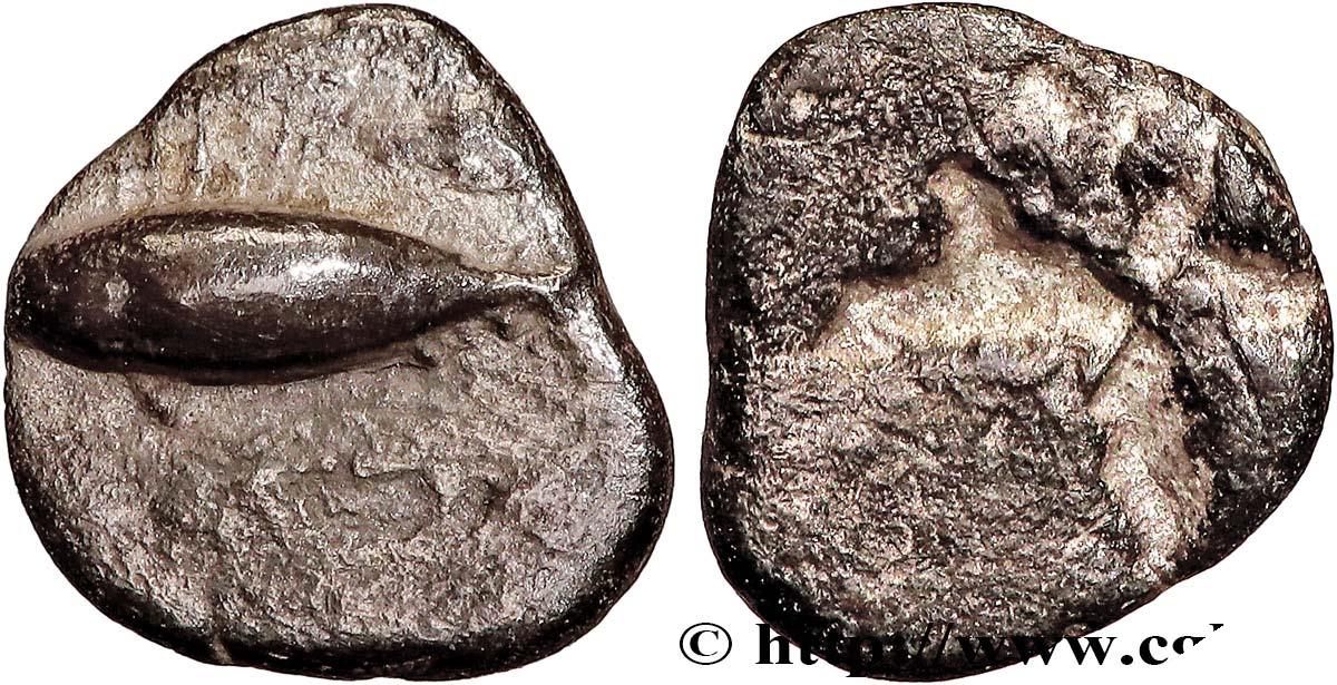 Archaïc 2 (550 BC to 480 BC) Hemiobole MYSIA – KYZIKOS / CYZICUS