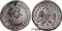 Ancient Coins - ELAGABALUS Antioche, Syrie, Séleucie et Piérie 218-220 (28mm, 12,96g, 11h)