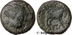 Ancient Coins - MACEDONIA - AMPHIPOLIS Amphipolis, Macédoine c. 148-31 AC. (18mm, 4,56g, 12h)