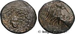 Ancient Coins - PONTUS - AMISOS Amisos, Pont c. 105-90 ou 90-85 AC. (20mm, 7,78g, 12h)