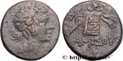 Ancient Coins - PONTUS - AMISOS Amisos, Pont c. 85-65 AC. (20,5mm, 8,24g, 12h)