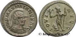 Ancient Coins - MAXIMIANUS HERCULIUS Lyon 290-291 (23mm, 4,28g, 12h)
