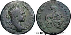 Ancient Coins - CARACALLA Serdica, Thrace 212-216 (29mm, 19,22g, 1h)