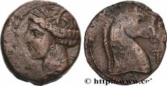 Ancient Coins - ZEUGITANA - CARTHAGE Sardaigne c. 300-264 AC. (19,5mm, 4,76g, 3h)