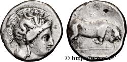 Ancient Coins - LUCANIA - THOURIOI Thurium, Lucanie c. 340 AC. (21mm, 7,72g, 6h)
