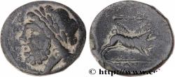Ancient Coins - APULIA - ARPI Arpi, Apulie   c. 325-275 AC. (20,5mm, 7,57g, 6h)