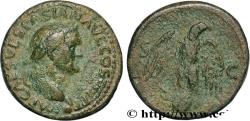Ancient Coins - VESPASIAN Lyon 77-78 (28mm, 11,73g, 6h)