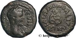 Ancient Coins - SEPTIMIUS SEVERUS Philippopolis, Thrace c. 200 (18mm, 5,32g, 1h)