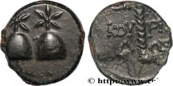 Ancient Coins - COLCHIS - DIOSKOUROS Dioscuras, Colchide c. 105-90 AC. (17mm, 4,62g, 12h)
