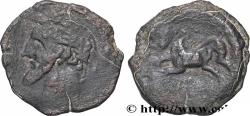 Ancient Coins - NUMIDIA - KINGDOM OF NUMIDIA - MASINISSA or MICIPSA Cirta, Numidie c. 150 AC. (25,5mm, 8,40g, 12h)
