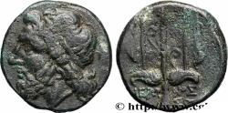 Ancient Coins - SICILY - SYRACUSE Syracuse, Sicile c. 240-215 AC. (20mm, 7,01g, 11h)