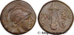 Ancient Coins - PONTUS - AMISOS Amisos, Pont c. 105-90 ou 90-85 AC. (19mm, 7,43g, 12h)