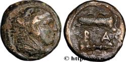 Ancient Coins - MACEDONIA - MACEDONIAN KINGDOM - ALEXANDER III THE GREAT Amphipolis, Macédoine c. 325-310 AC. (17,5mm, 5,59g, 3h)